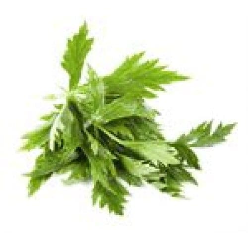 Celery Leaves - TheRecipe.Website
