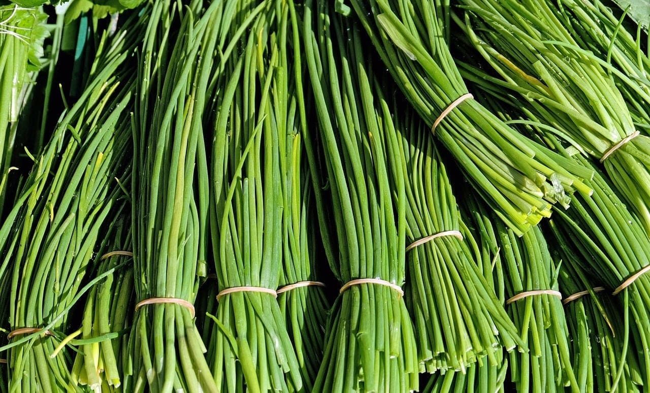Chives - TheRecipe.Website