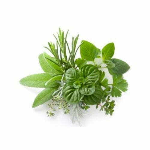 Herbs de Provence - TheRecipe.Website